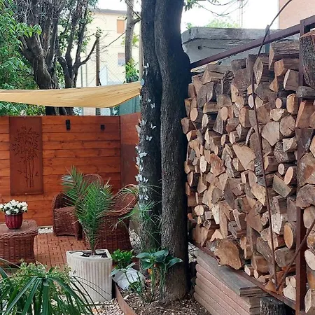 Honeyoshun Rimini